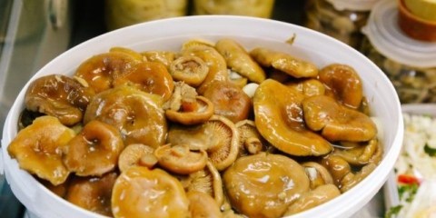 Kako kiseliti pečurke: ukusni recepti za kuvanje